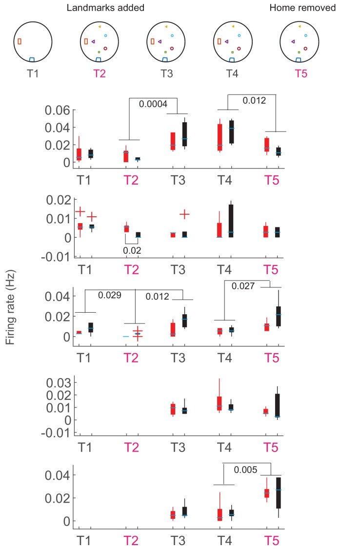 Figure 6—figure supplement 4.