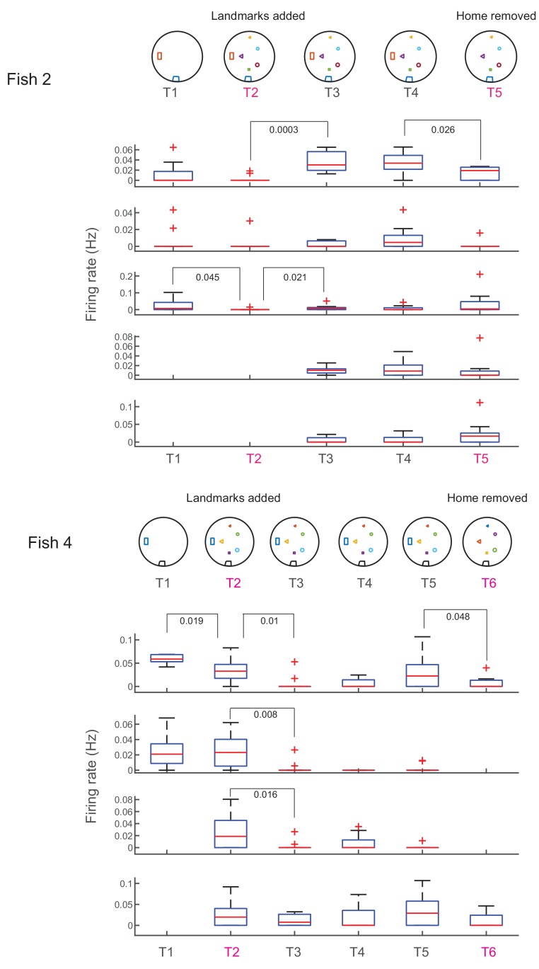 Figure 7—figure supplement 1.