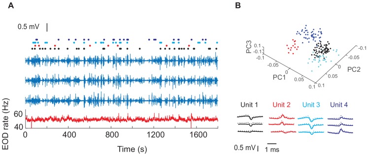 Figure 3.