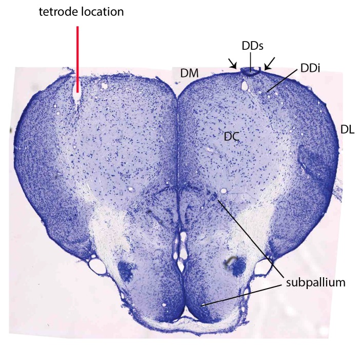 Figure 2—figure supplement 1.