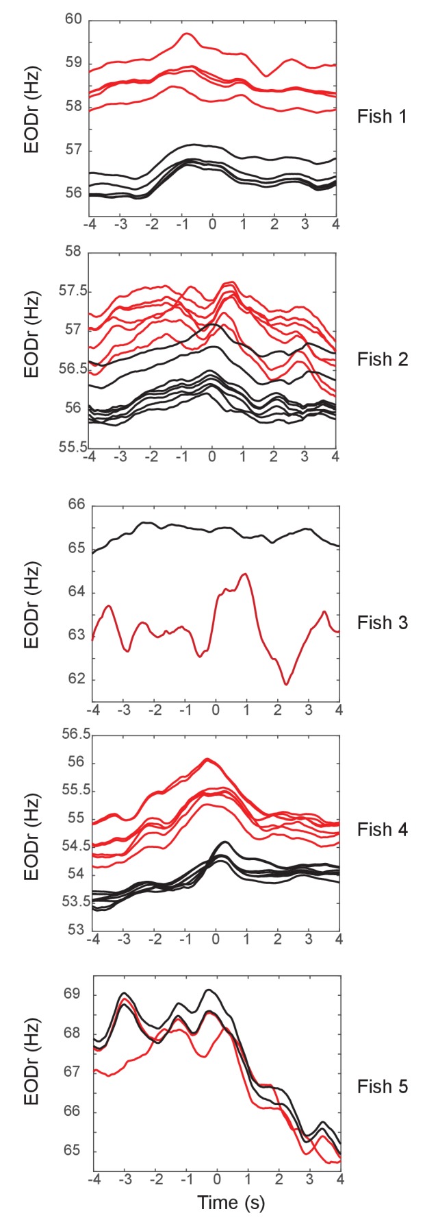 Figure 5—figure supplement 6.