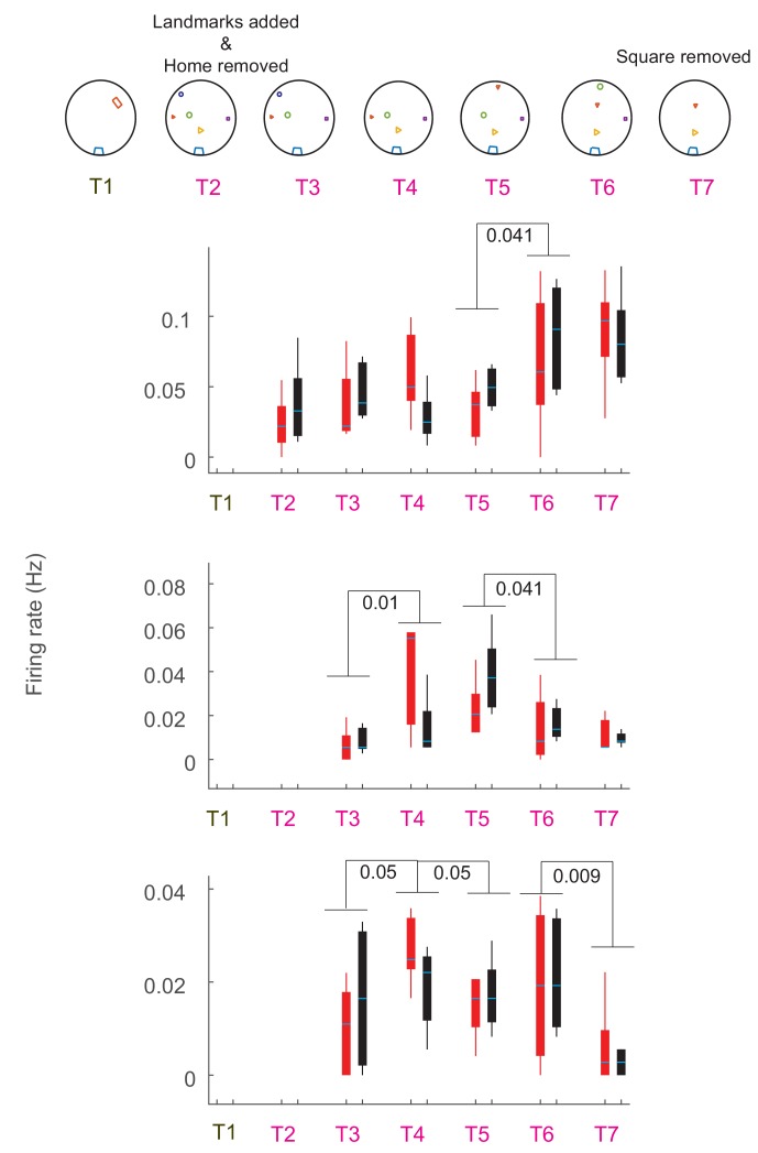 Figure 6—figure supplement 3.