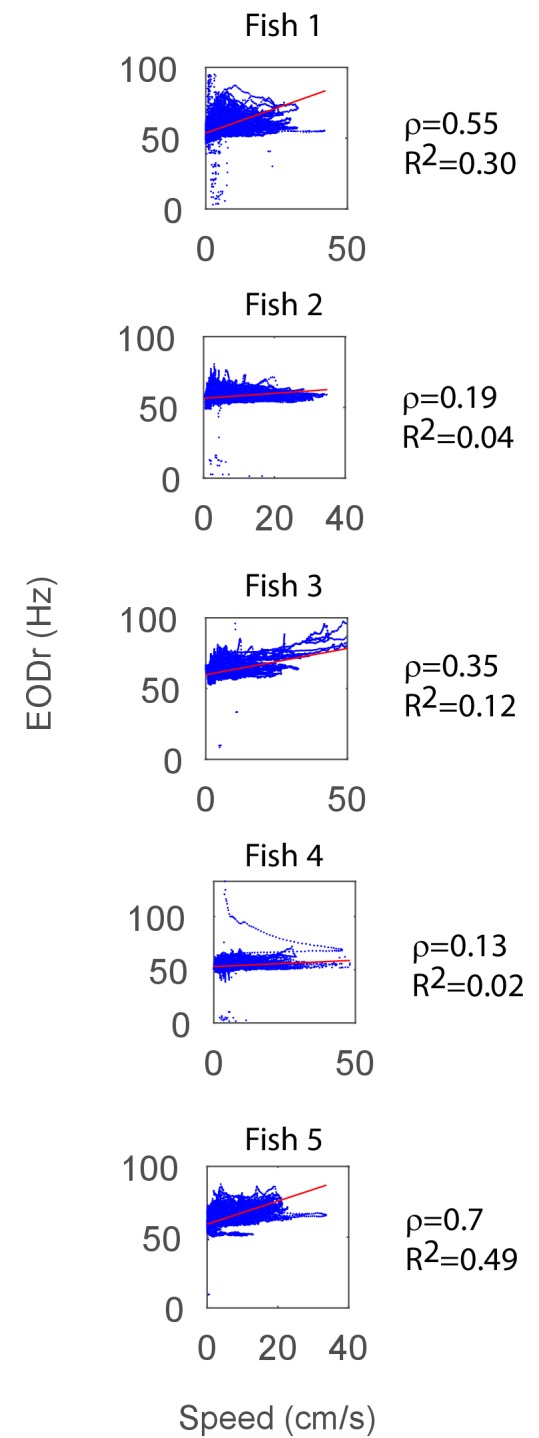 Figure 5—figure supplement 7.