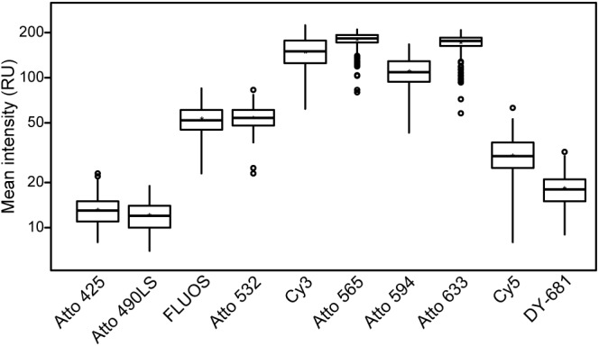 FIGURE 2