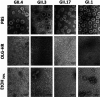 FIG 6
