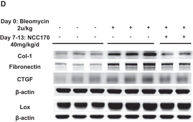 Fig. 9.