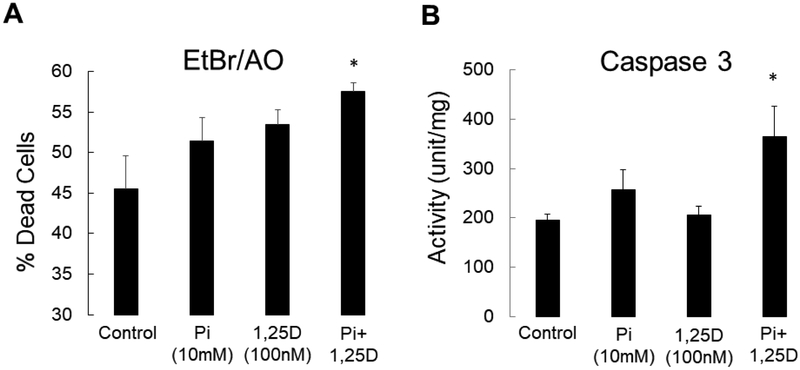 Figure 6: