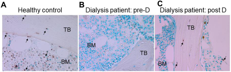 Figure 2: