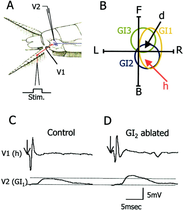 Fig. 2.