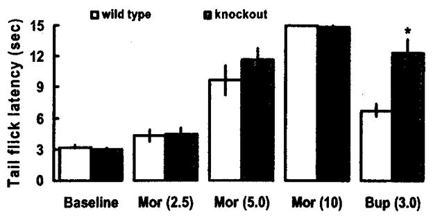 Fig. (1)