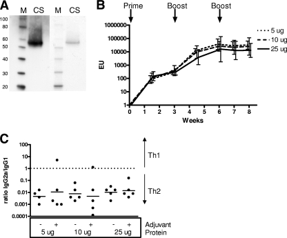 FIG. 1.