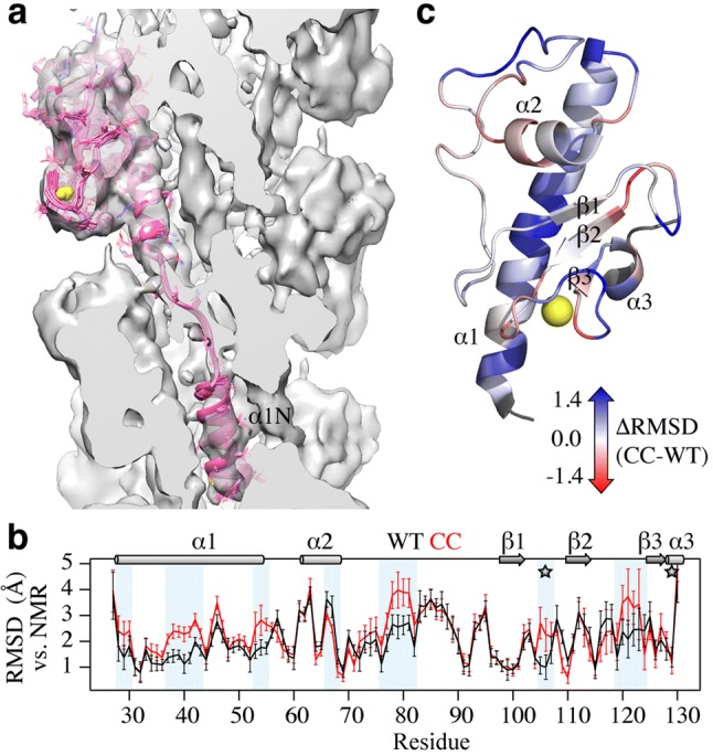 Fig. 1