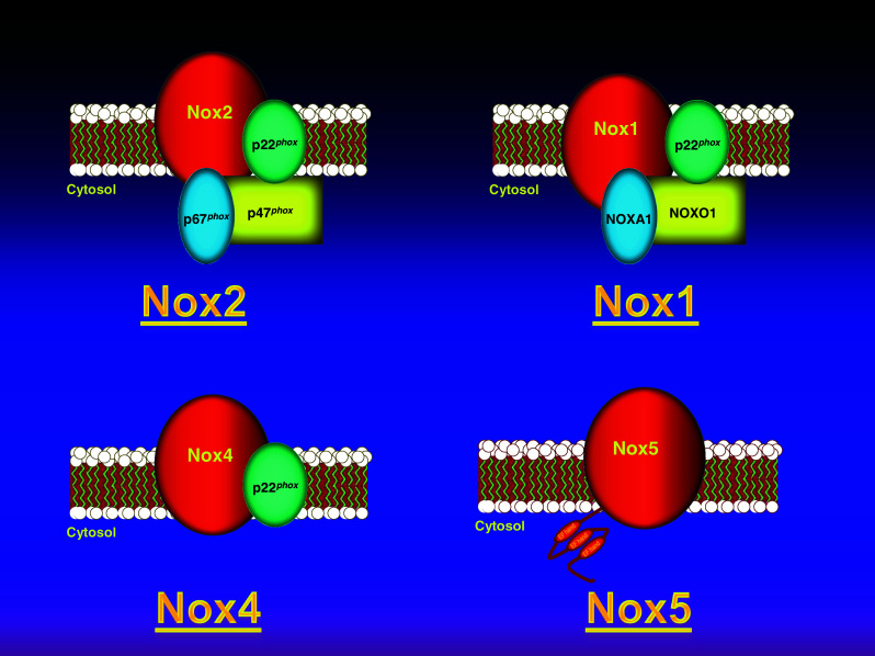 Fig. 1