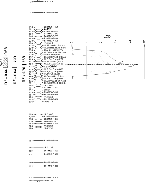 Fig. 3