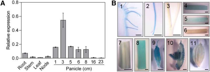 Figure 7.