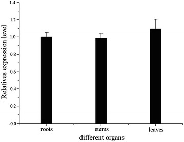 Fig. 4