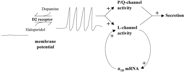 Fig. 7.