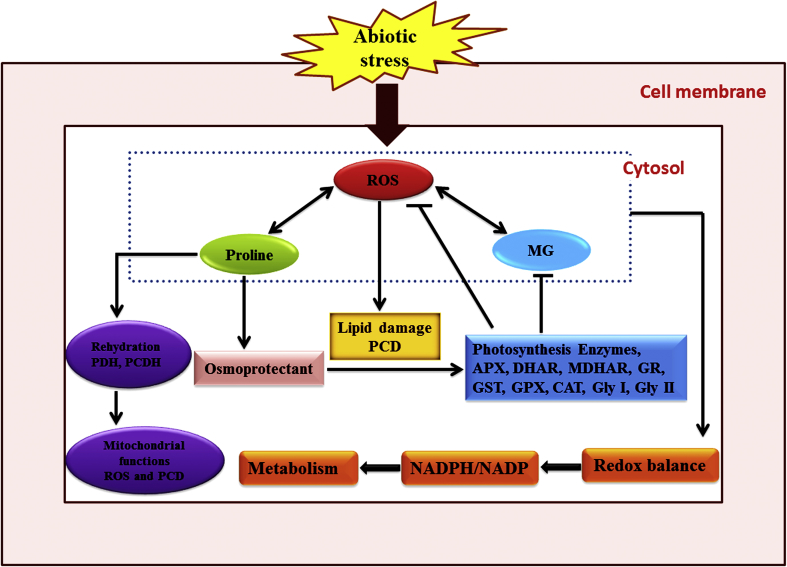 Figure 2