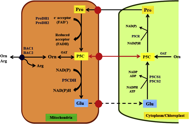 Figure 3