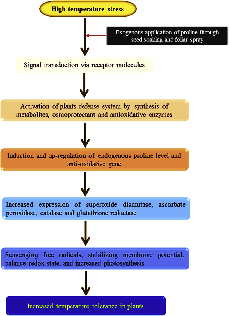 Figure 6