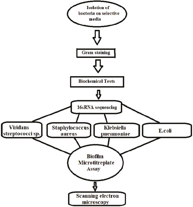 Flowchart 1