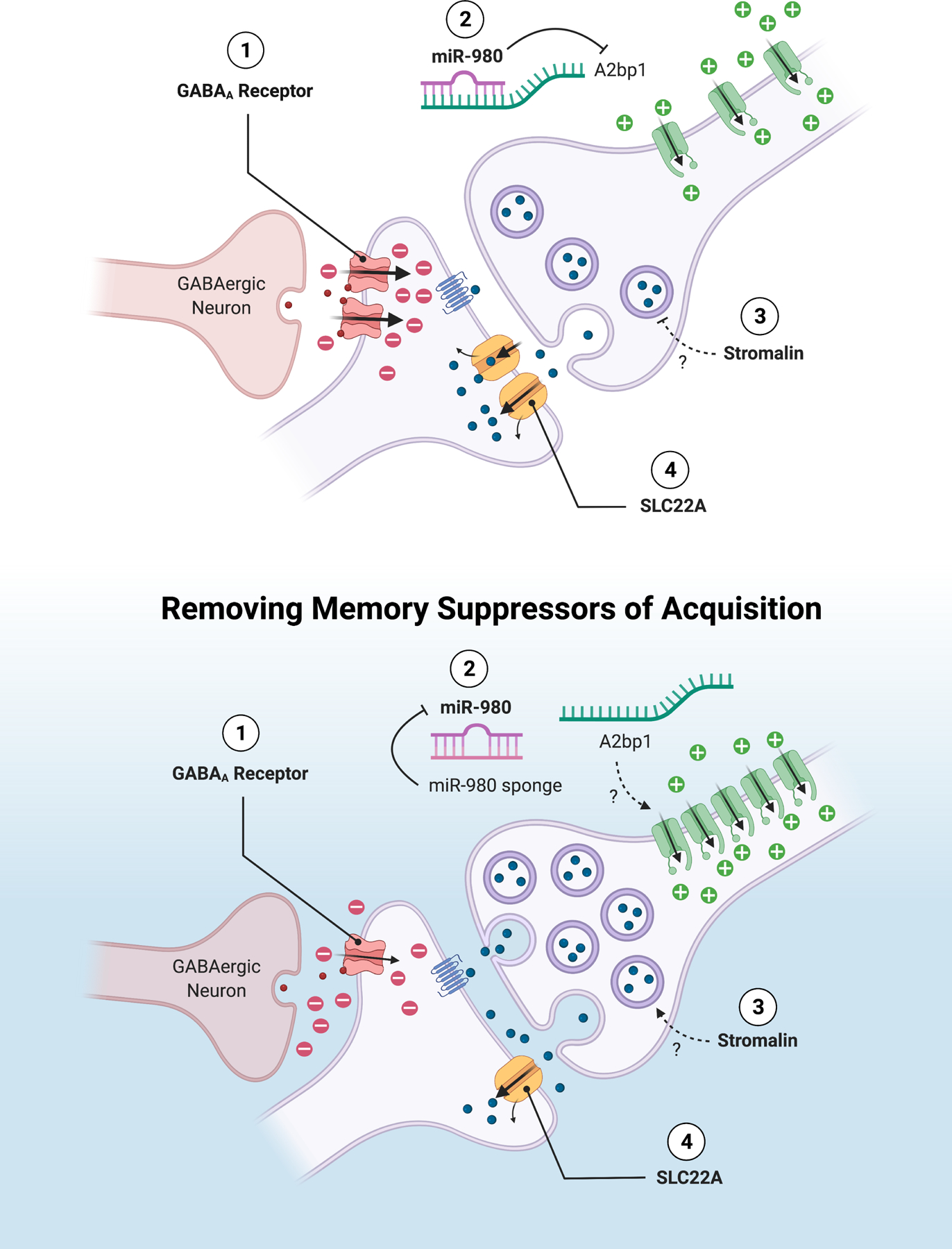 Figure 3: