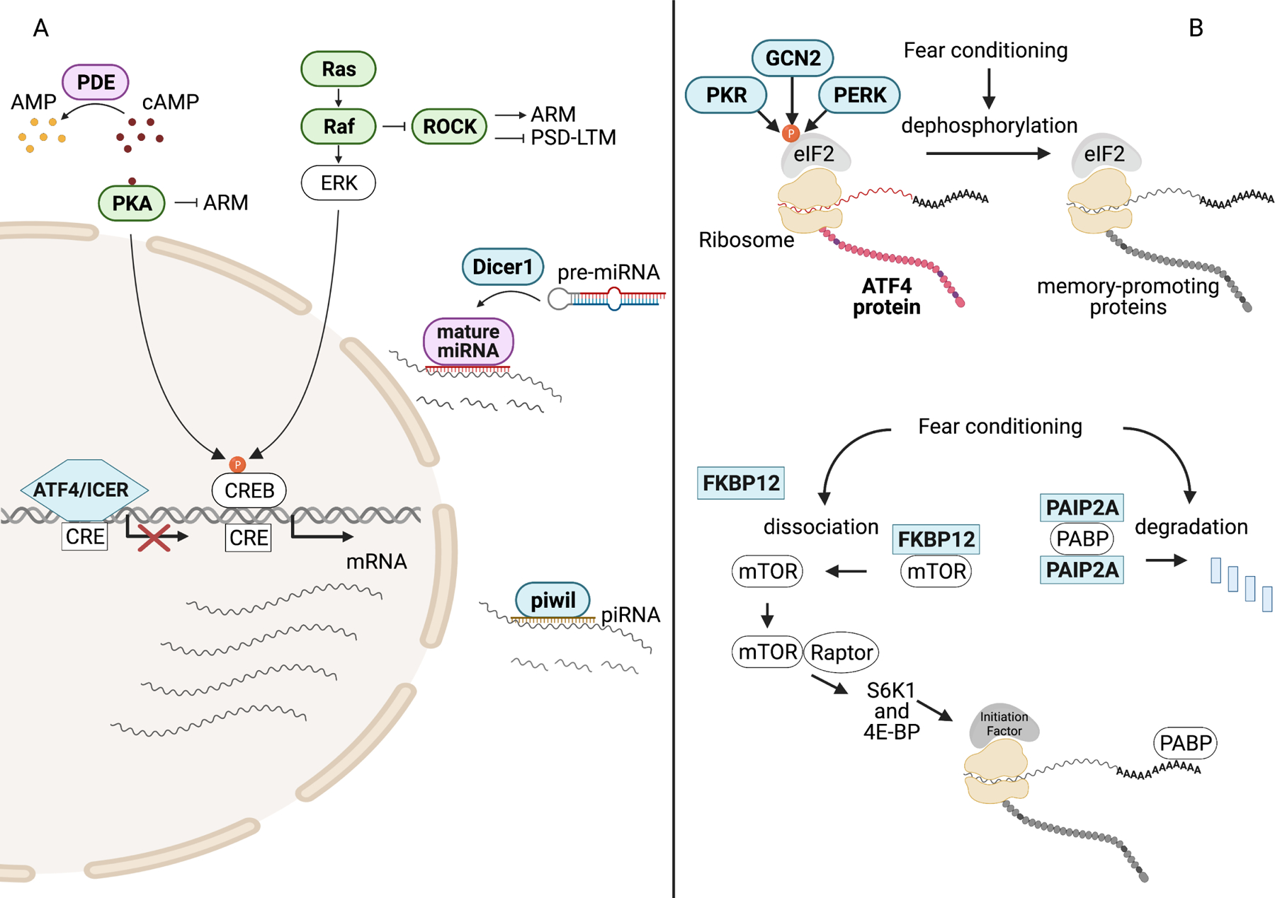 Figure 4: