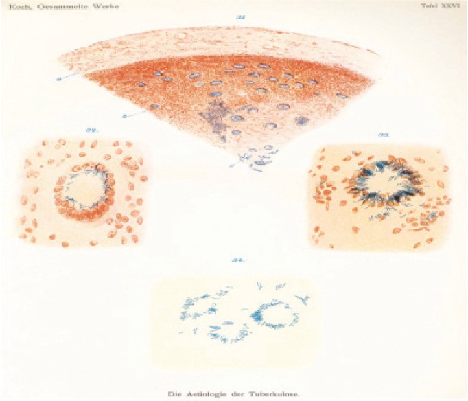 Figure 1: