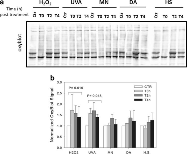 Fig. 8