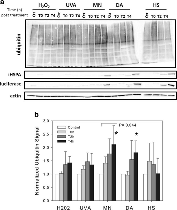 Fig. 7