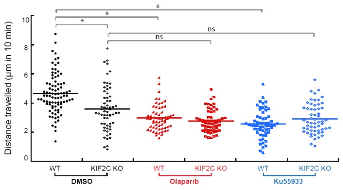 Figure 6—figure supplement 1.