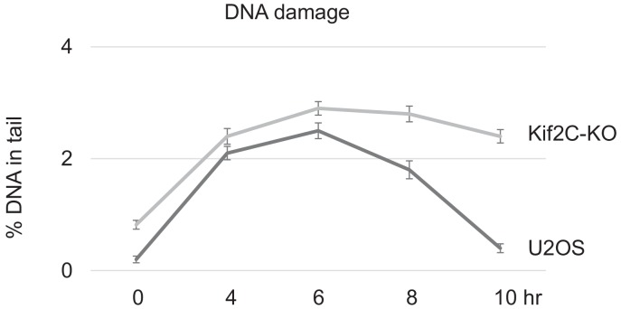 Figure 4—figure supplement 1.