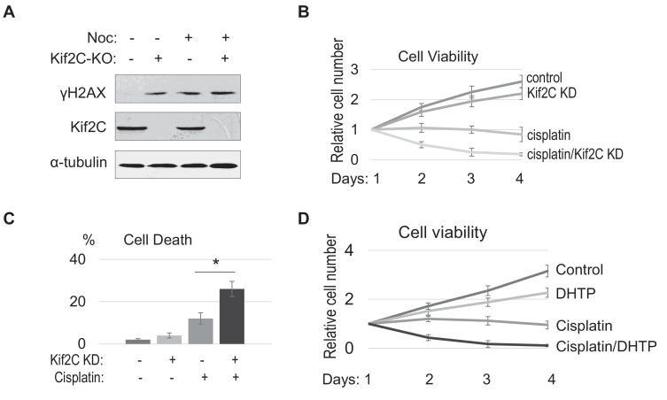 Figure 3—figure supplement 3.