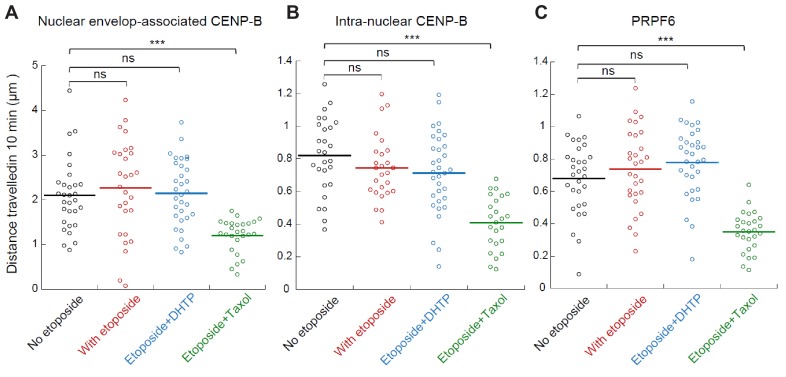 Figure 5—figure supplement 3.