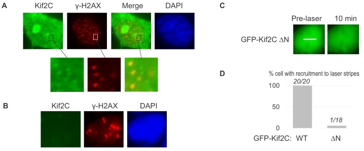 Figure 2—figure supplement 2.