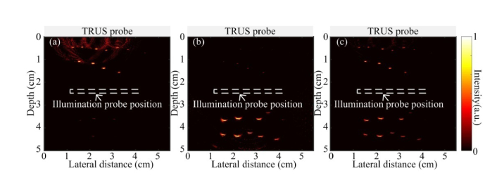 Fig. 9