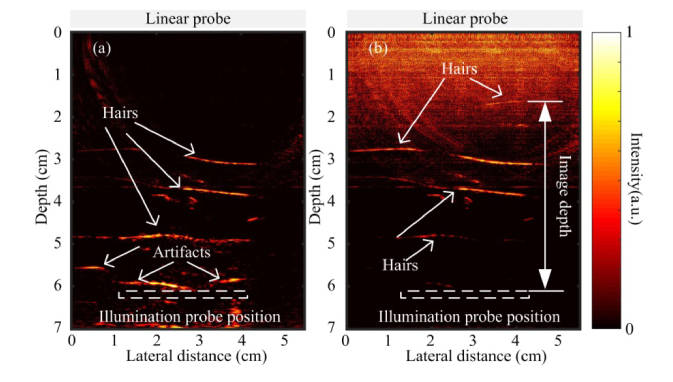 Fig. 7