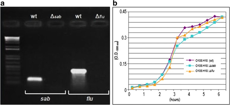 Fig. 2