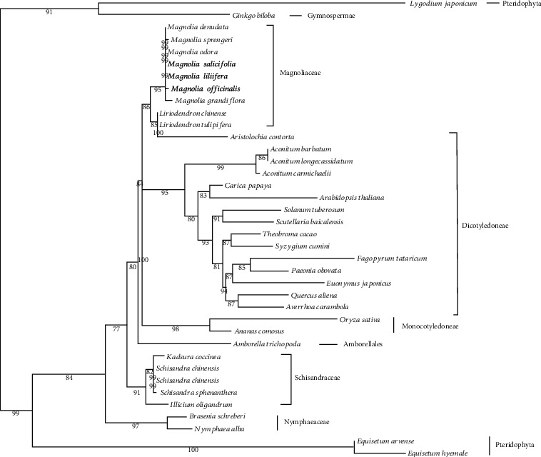 Figure 5