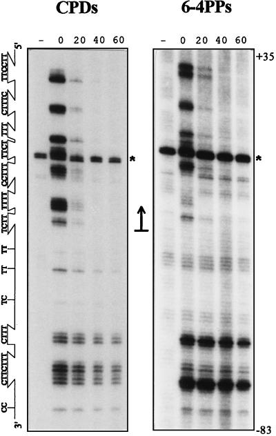 FIG. 5