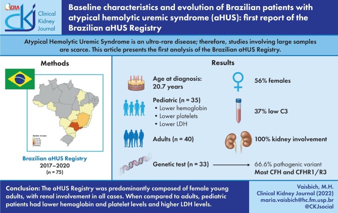 Graphical Abstract