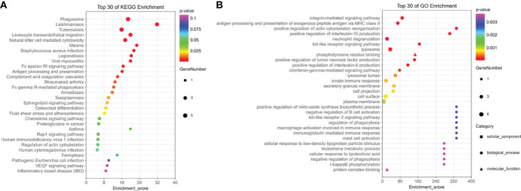 Figure 6