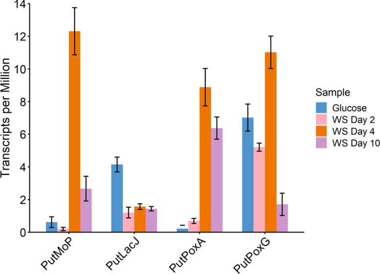 Fig 6