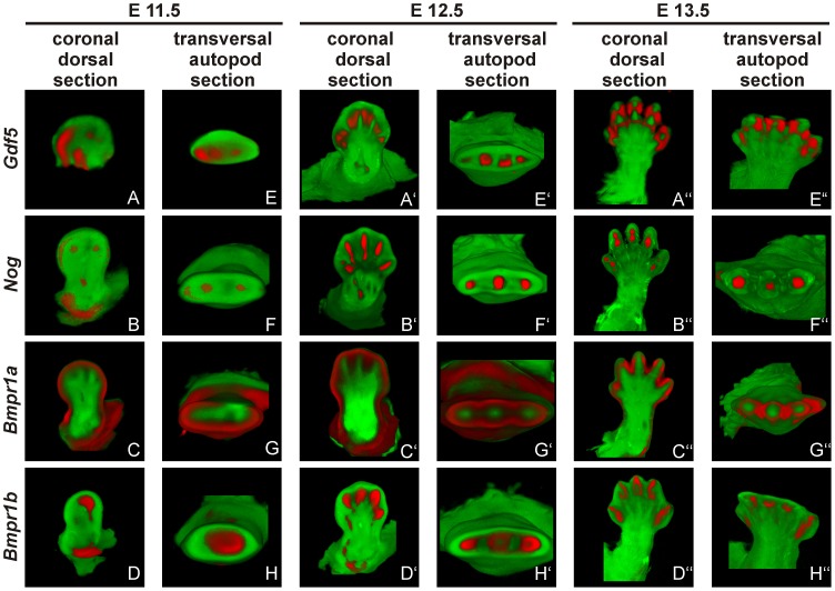 Figure 6