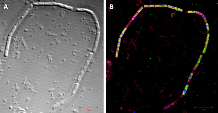 FIG 3