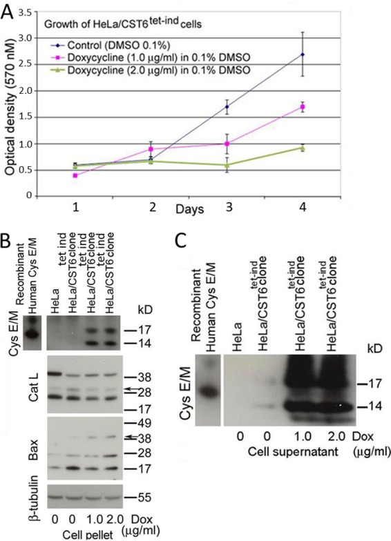 FIG 2