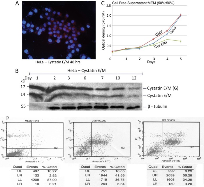 FIG 3