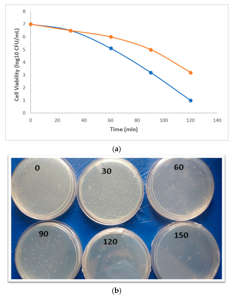 Figure 9