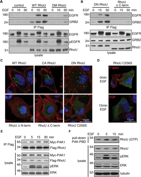 FIGURE 6: