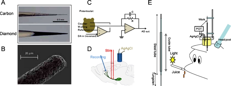 Fig. 4